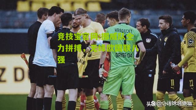 挪威队全力拼搏，无缘欧国联八强