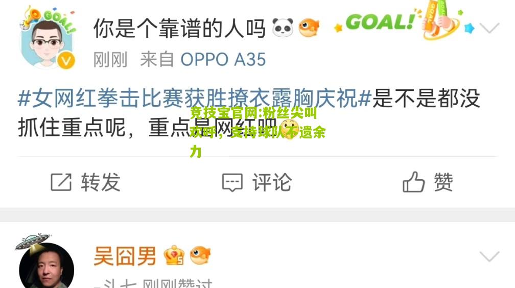 竞技宝官网:粉丝尖叫欢呼，支持球队不遗余力