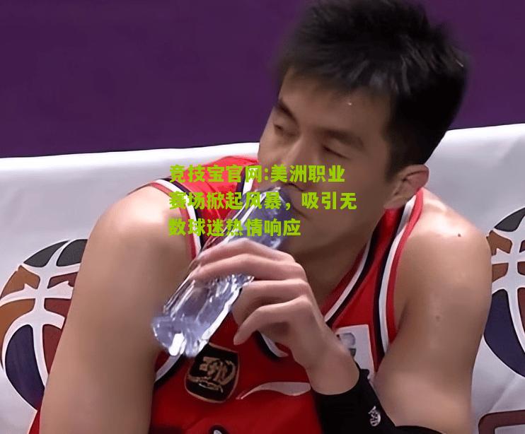 竞技宝官网:美洲职业赛场掀起风暴，吸引无数球迷热情响应