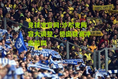 竞技宝官网:沙尔克阵容大调整，德国联赛冲击前四