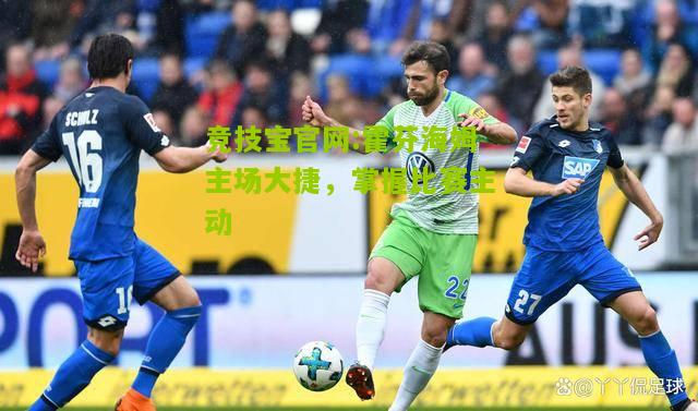 竞技宝官网:霍芬海姆主场大捷，掌握比赛主动