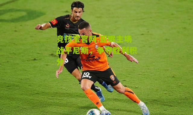 竞技宝官网:亚眠主场战平尼斯，争夺胜利积分