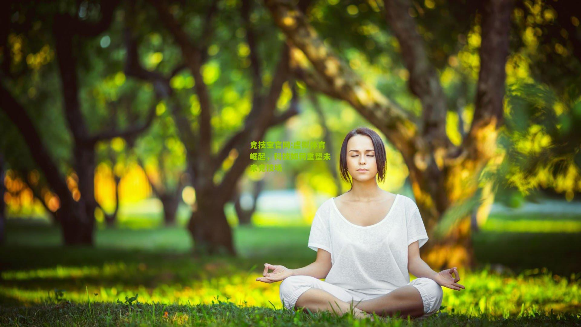 竞技宝官网:虚拟体育崛起，科技如何重塑未来竞技场